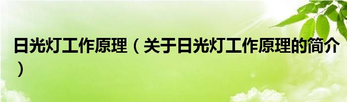 日光灯工作原理（关于日光灯工作原理的简介）