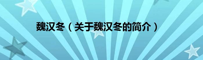 魏汉冬（关于魏汉冬的简介）