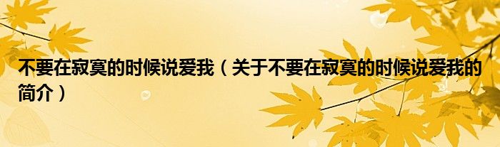 不要在寂寞的时候说爱我（关于不要在寂寞的时候说爱我的简介）