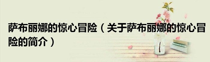 萨布丽娜的惊心冒险（关于萨布丽娜的惊心冒险的简介）