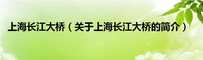 上海长江大桥（关于上海长江大桥的简介）