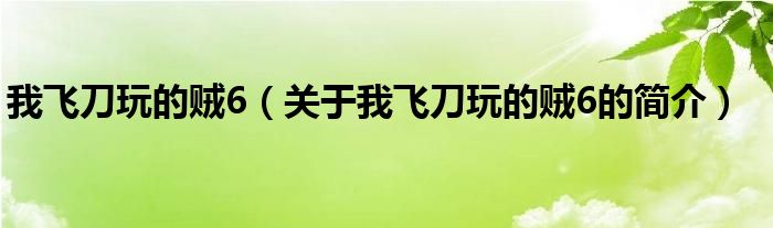 我飞刀玩的贼6（关于我飞刀玩的贼6的简介）