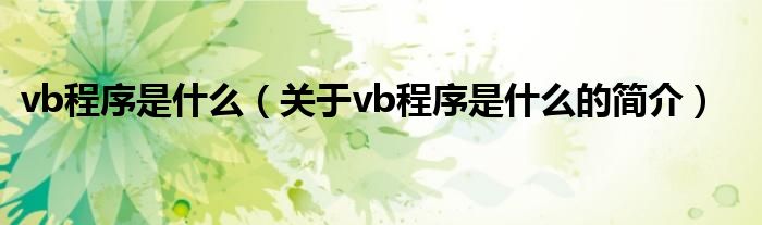 vb程序是什么（关于vb程序是什么的简介）