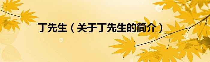 丁先生（关于丁先生的简介）