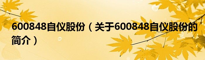 600848自仪股份（关于600848自仪股份的简介）