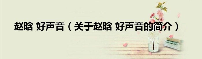 赵晗 好声音（关于赵晗 好声音的简介）