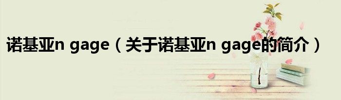诺基亚n gage（关于诺基亚n gage的简介）
