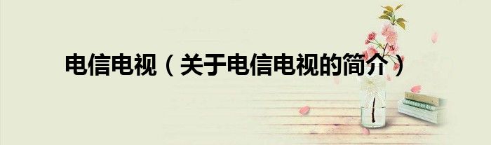 电信电视（关于电信电视的简介）