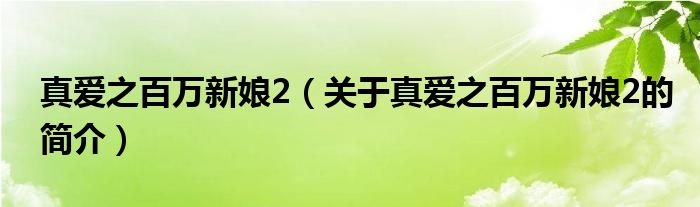 真爱之百万新娘2（关于真爱之百万新娘2的简介）