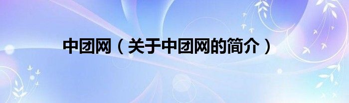 中团网（关于中团网的简介）