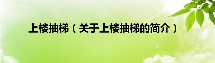 上楼抽梯（关于上楼抽梯的简介）
