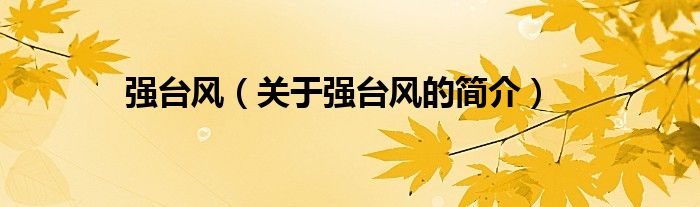 强台风（关于强台风的简介）