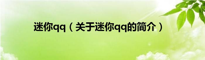 迷你qq（关于迷你qq的简介）