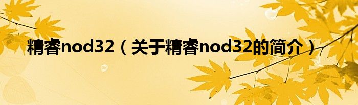 精睿nod32（关于精睿nod32的简介）