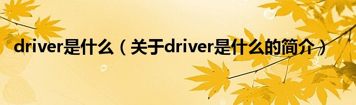 driver是什么（关于driver是什么的简介）