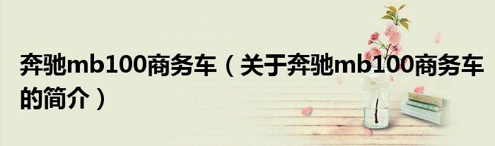 奔驰mb100商务车（关于奔驰mb100商务车的简介）