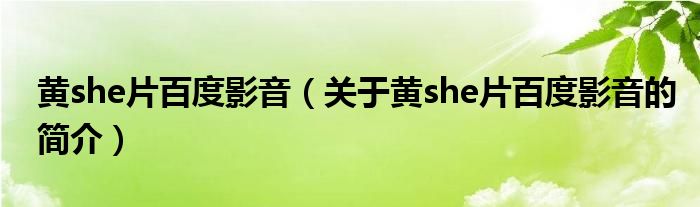 黄she片百度影音（关于黄she片百度影音的简介）