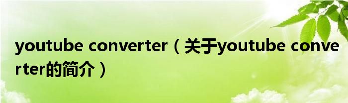 youtube converter（关于youtube converter的简介）