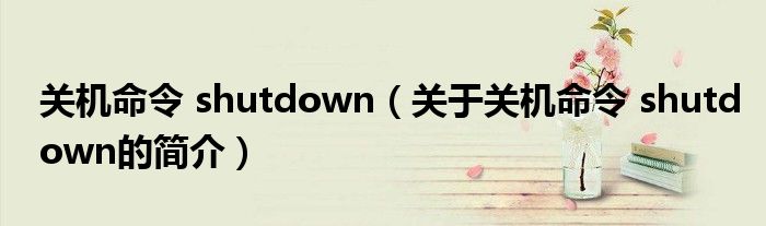 关机命令 shutdown（关于关机命令 shutdown的简介）