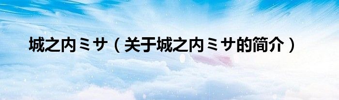 城之内ミサ（关于城之内ミサ的简介）