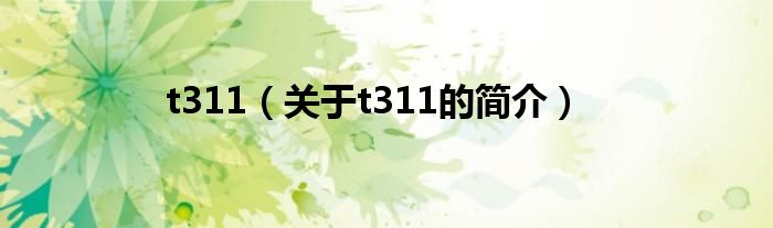 t311（关于t311的简介）