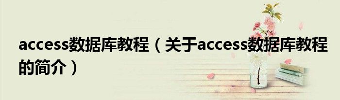 access数据库教程（关于access数据库教程的简介）