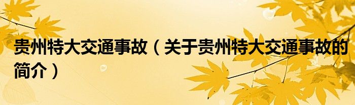 贵州特大交通事故（关于贵州特大交通事故的简介）