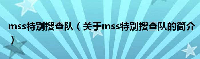 mss特别搜查队（关于mss特别搜查队的简介）