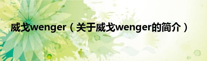 威戈wenger（关于威戈wenger的简介）
