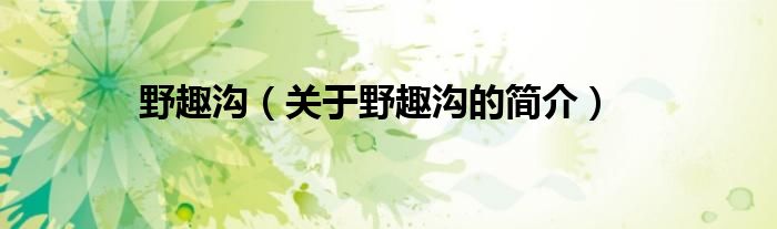野趣沟（关于野趣沟的简介）