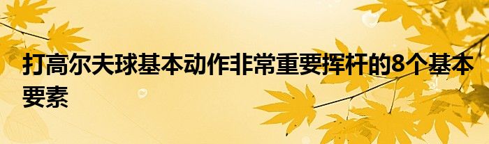 打高尔夫球基本动作非常重要挥杆的8个基本要素