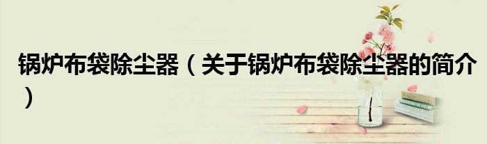 锅炉布袋除尘器（关于锅炉布袋除尘器的简介）