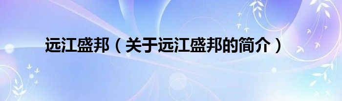 远江盛邦（关于远江盛邦的简介）