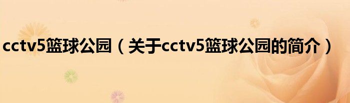cctv5篮球公园（关于cctv5篮球公园的简介）