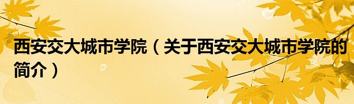 西安交大城市学院（关于西安交大城市学院的简介）