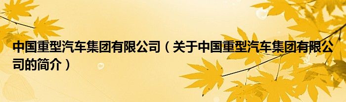 中国重型汽车集团有限公司（关于中国重型汽车集团有限公司的简介）