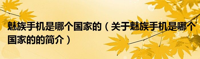魅族手机是哪个国家的（关于魅族手机是哪个国家的的简介）