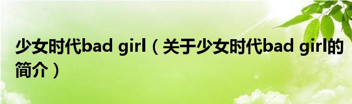 少女时代bad girl（关于少女时代bad girl的简介）