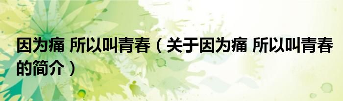 因为痛 所以叫青春（关于因为痛 所以叫青春的简介）