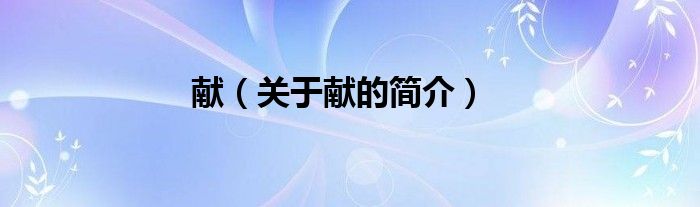 献（关于献的简介）