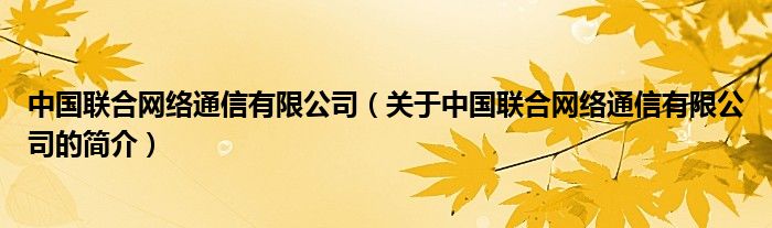 中国联合网络通信有限公司（关于中国联合网络通信有限公司的简介）