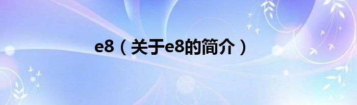 e8（关于e8的简介）