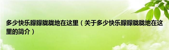 多少快乐朦朦胧胧地在这里（关于多少快乐朦朦胧胧地在这里的简介）