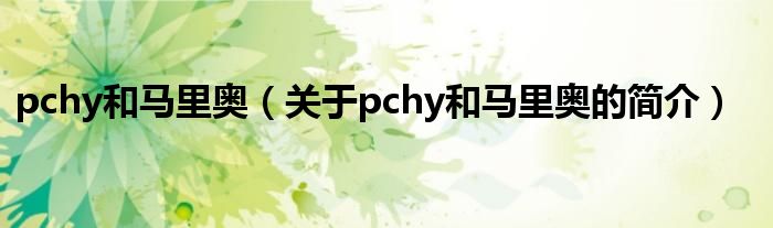 pchy和马里奥（关于pchy和马里奥的简介）