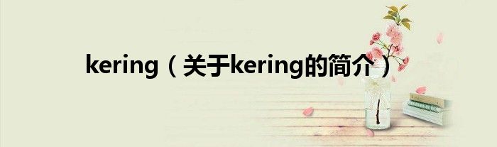 kering（关于kering的简介）