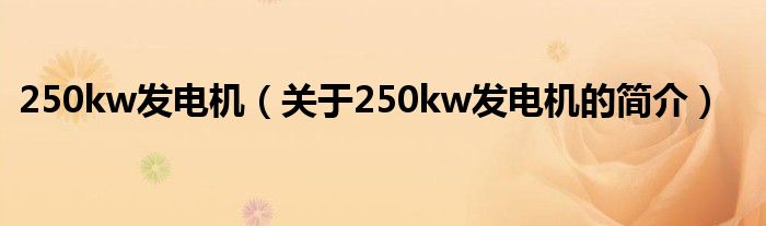 250kw发电机（关于250kw发电机的简介）