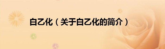 白乙化（关于白乙化的简介）