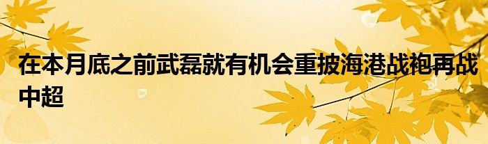 在本月底之前武磊就有机会重披海港战袍再战中超