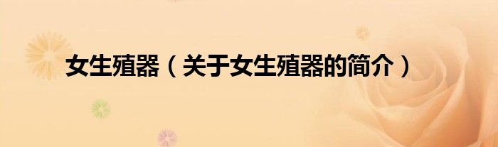 女生殖器（关于女生殖器的简介）