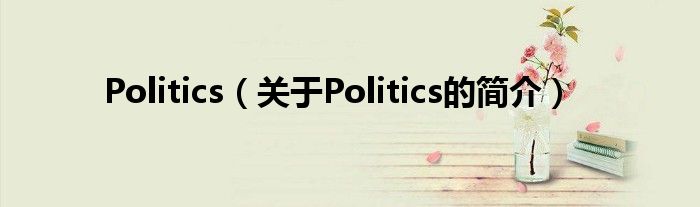 Politics（关于Politics的简介）